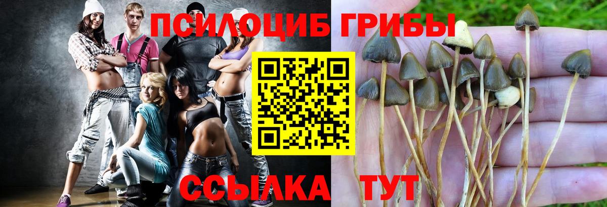 COCAIN  Конаково  Меф МЯУ МЯУ   ГАШ  А ПВП СОЛЬ   МАРИХУАНА  Вход с VPN 